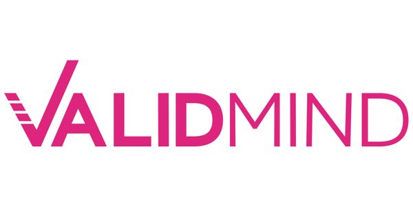 ValidMind Secures $8.1M Seed to Bolster AI Risk Management Platform